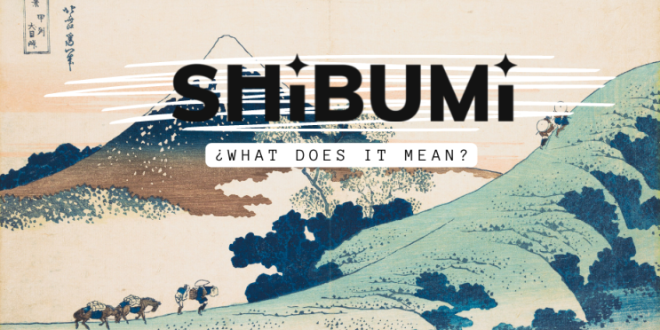 Significado de Shibumi