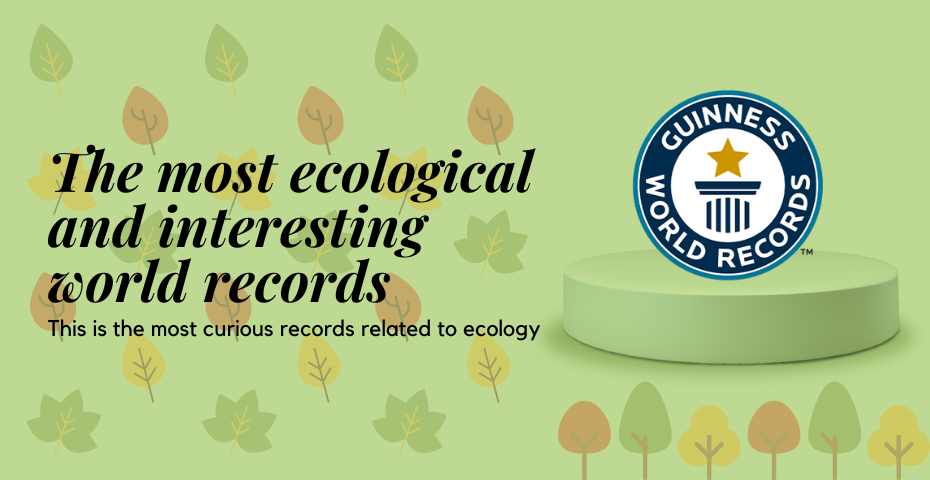 Los récords mundiales más ecológicos e interesantes